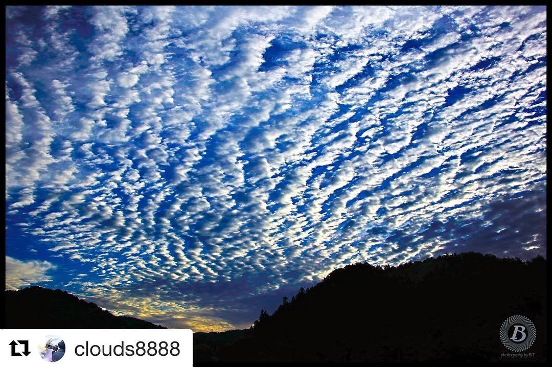 @clouds8888 | GifuPhoto