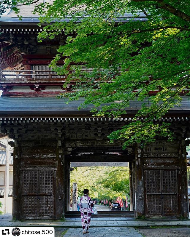 #repost @chitose.500・・・『時間切れ』軽い気持ちで訪れたら広くてびっくり！全然時間足りなくて。。。また近いうちに訪れたい#青紅葉 #華厳寺谷汲山 #西国三十三所 #西国三十三札所満願霊場 #岐阜#japan_daytime_view #ap_japan_#gris_premium_member #sumasumatai_love #visit_tokai #gifuphoto #lovers_nippon #retrip_nippon #retrip_岐阜 #pixlib_jp #deaf_b_j_ #cityscape #cityspride #japan_insta #photo_life_best #japan_bestpic_ #pt_best_ #i_c_part #ig_japan #神戸カメラ部 #東京カメラ部 #tokyocameraclub