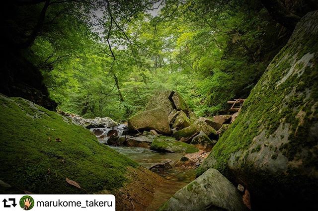 #repost @marukome_takeru・・・、岐阜県、前ポストの滝の道中ほんとは貸切光芒狙いに行ったけどそう簡単にはいかなんだ