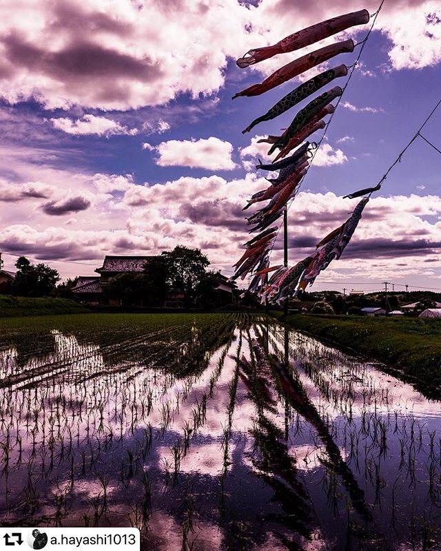 #repost @a.hayashi1013・・・写真展『輪廻転生;破』大阪で開催️2019年10月３日(木)から、ニコンプラザ大阪The gallery で。  #OLYMPUS  #風景 #風景写真 #フォトグラファー  #photographer  #写真 #cameraman  #岐阜 #写真好きな人と繋がりたい  #写真家  #landscape #マイクロフォーサーズ #picoftheday #photooftheday #igdaily #jj #1240f28pro #microfourthirds #ハヤシアキヒロ #gifu #gifuphoto #今日の1枚 #l4l #風景写真を撮るのが好きな人と繋がりたい #景色 #instagood #写真を撮ってる人と繋がりたい