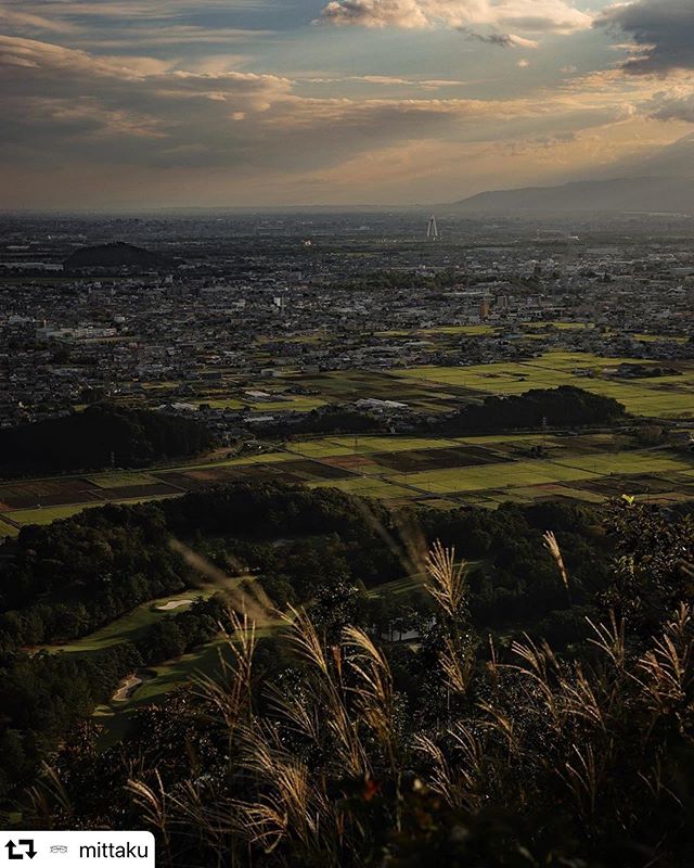 #repost @mittaku・・・初秋の夕方田んぼのパッチワークの先に、ひょこんと138。#山 #秋 #138タワーパーク #tokyocameraclub #phos_Japan #gifuphoto #photo_jpn #japan_bestpic_ #landscape #jalan #travel #bestjapanpics #photo_shorttrip #skycaptures #sky_captures#canon_photos #my_eos_photo #eos #6dmark2