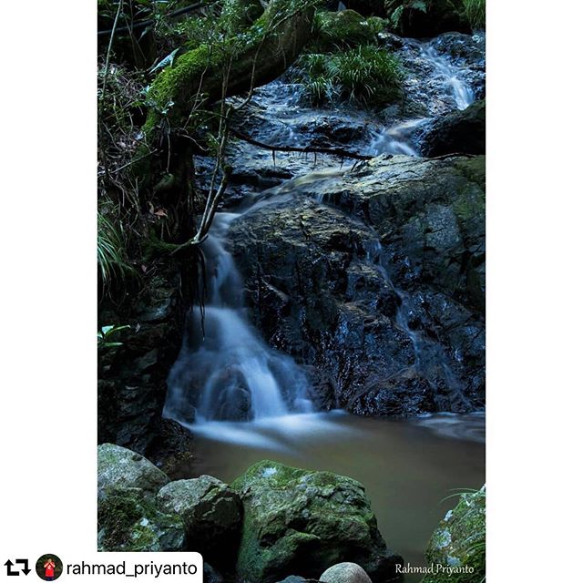#repost @rahmad_priyanto・・・Tenang dan sunyi.... #landscape #landscapephotography #photo_japan #photography #photooftheday #slowspeedphotography #waterfall #gohounotaki #gifu #gifuphoto #gifuprefecture
