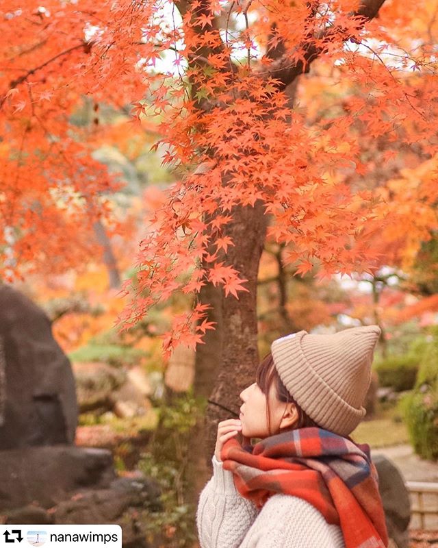 #repost @nanawimps・・・#岐阜公園  へきれーでしたねでも寒すぎてすぐ退散。寒いところで住んでたのに寒いのは苦手。.#lovers_nippon_portrait  #lovers_nippon  #good_portraits_world  #gifu #portrait #portraitphotography #portrait_vision  #portraitvision_ #portrait_mood  #indy_photolife  #gifuphoto #japantrip  #japan_daytime_view #japan_of_insta  #pic_jp #ポートレート #jp_portrait部#team_jp_  #japan_photo  #japan_focus  #一眼レフ#canon #カメラ女子　#カメラ好きな人と繋がりたい#japan_photo_now 　#幸せな瞬間をもっと世界に