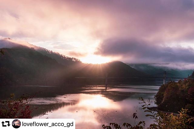 #repost @loveflower_acco_gd・・・徳山湖。この日晴れ予報だったのに小雨がぱらつき、雲が厚かった 時折凄い表情を見せてくれる自然最高のツンデレ。。。location:岐阜県揖斐郡揖斐川町#徳山ダム #徳山湖 #reflection#ap_japan #art_of_japan_ #color_of_day2 #canon_photos #eoskissx9i #daily_photo_jpn #gifuphoto #ap_japan#igersjp #ig_world_colors #japan_photo_share #japan_of_insta #team_jp_ #great_myshotz #my_eos_photo #lovers_amazing_group #best_moment_nature#japan_photo_share#tokyocameraclub #写真好きな人と繋がりたい #じゃびふる #japan_bestpic_ #tv_asia #love_bestjapan#hubsplanet #みんすと