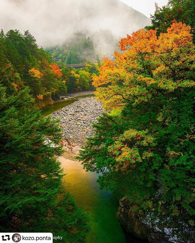 #repost @kozo.ponta・・・グリーンからオレンジに染まる#岐阜県 #岐阜県関市　#板取川 #岐阜県インスタ部 #紅葉 #東京カメラ部 #instagram #instagramjapan #ig_japan #igersjp #wu_japan #landscape #total_rivers #total_landscapes #total_naturepics #gifuphoto #visitjapanjp #visit_tokai #photo_shorttrip #photo_travelers #japan #japan_daytime_view #japan_of_insta #art_of_japan_ #pashadelic #bestjapanpics #team_jp_ #lovers_nippon