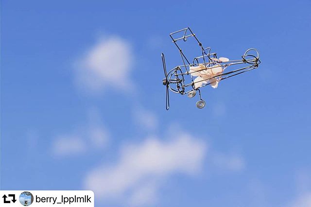 #repost @berry_lpplmlk・・・＊* ++ To the sky +花フェスタ記念公園で11月5日まで行われていたロマンティックバラ雑貨作品展で @24zworks さんの作品のワイヤークラフトに惹かれました気球も飛行船も可愛くて迷いましたが飛行機を♪他にもたくさんあってどれも素敵でした+++#ワイヤークラフト #飛行機 #ロマンティックバラ雑貨作品展 #花フェスタ記念公園 #空フォト #誰かに見せたい空 #ダレカニミセタイソラ #ファインダー越しの私の世界 #写真好きな人と繋がりたいたい #写真撮ってる人と繋がりたい #キリトリセカイ #gifuphoto #かにスタ #happy_rainbowclub_blue #sumasumatai_love