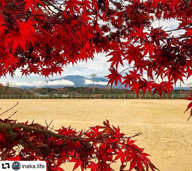 #repost @inaka.life・・・Ena Nishi Chu. Ena city. Gifu. Japan  Ian Ferguson. iPhone 8  —Got off of work today and took a quick shot underneath this tree. A student of mine took cool picture of the tree earlier in the month, so the competitive spirit inside of me said “I have to beat a 15 year old at taking pictures”  —#ena #nishichugakko #sutekiena #alt #jet #gifuprefecture #fallleaves #ilovefall #redleaves #えな #えなし #competition #japan #ilovejapan #japantravel #lifeabroad #englishteacher #gifuphoto