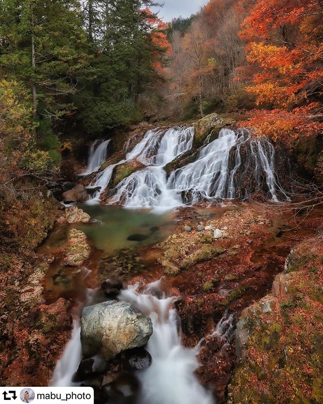 #repost @mabu_photo・・・.秋彩の渓.まったり映画見て岩盤浴する有給のはずが気が付いたらここに立ってました😇..今月は平滝、大倉滝、ふくべの大滝、姥ヶ滝五宝の滝、駒ヶ滝、夫婦滝と来てこれで8滝目！.秋の滝まだまだ続きます(⁎⁍̴̛ᴗ⁍̴̛⁎).2019.11.13location:Gifu.#滝 #special_spot_  #紅葉 #sorakataphoto  #japan_daytime_view #loves_nippon #tokyocameraclub #team_jp_  #retrip_nippon #bestjapanpics #whim_life #lovers_nippon #nipponpic #team_jp_  #igersjp #東京カメラ部 #はなまっぷ  #colore_de_saison #gifusta #gifuphoto #naturephotography #longexposure_japan  #nature #longexposure #water_brilliance #waterfall #滝好きな人と繋がりたい #saison_au2019 #tv_aqua