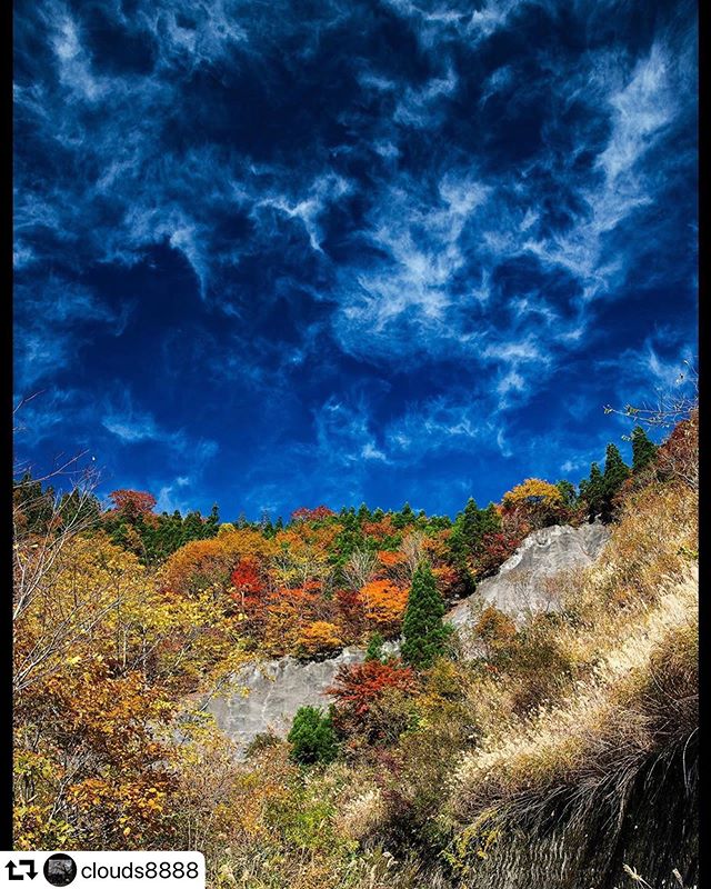 #repost @clouds8888・・・雲が良い感じでした。#鳥越林道2019.11.9#紅葉#もみじ#autumnal#岐阜県#揖斐川町#gifu #gifusta #gifuphoto#instagramjapan#retrip_nippon#bestphoto_japan#wu_japan#tokyocameraclub#東京カメラ部#ptk_japan#photo_jpn#art_of_japan_#team_jp_#japan_of_insta#photo_shorttrip#はなまっぷ紅葉2019