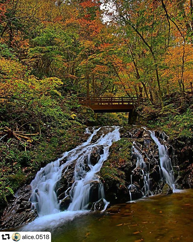 #repost @alice.0518・・・大倉滝遊歩道の入口にある滝名前は覚えていません. ..location : 岐阜県高山市大倉百滝Takayama-Gifu/Japan.#best_moments_nature #total_naturepics #total_rivers #pixnpieces #asi_es_natura #world_bestnature #ADDICTEDTO_NATURE #ig_monumentalworld_landscape #igmw_water #1natureshot #be_one_natura #explore_waterways #tv_asia #total_asia #moon_bestwater #ig_waterlovers #igmw_alltags #police_landscapes #myplanet_nature #scenic_jp #h2o_natura #fever_waters #gf_nature #ok_landscape #bestwaterpics  #lory_and_trees#best_moments_water #total_landscapes #gifuphoto