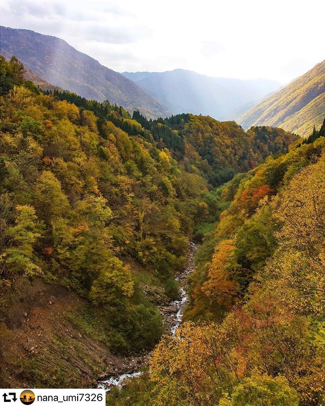 #repost @nana_umi7326・・・#北アルプス大橋#紅葉#山#シャー#風景写真#東海カメラ倶楽部#タビジョ#写真好きな人と繋がりたい#gifuphoto#retrip_nippon#rakutentravel#art_of_japan_#lovers_nippon#ig_japan#landscape#nature#canonphotography