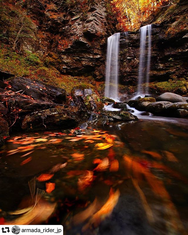 #repost @armada_rider_jp・・・Autumn Stripers ―― I knew it was too late for autumn leaves there but this place is near the ski mountain where they opened a ski course. So skiing and shooting waterfalls were on my to-do list on this day. .After watching big waterfalls in my last trip at the peak of autumn colors, these thin little falls were far from a breath-taking view. But the soft flow and fallen leaves were there. That was quite a show!.Meoto-daki Falls, Takasu, Gujo, Gifu Pref., Japan!!.晩秋の #夫婦滝 ―― スキーと滝撮りの両方を楽しめる町へ。紅葉には遅いと知りつつ、前日の雨でちょっと夫婦の合体を期待したけどチョロチョロ。北信、上越の豪瀑を見た後ではちょっと物足りなかったけど、落ち葉が魅せてくれた。豪瀑ではこういうのは撮れないな…。滝に向かって左の上の方にある真っ赤な１本の木を除いて秋色のぱっぱはほぼ落葉。.おなじみ岐阜県郡上市高鷲の夫婦滝。この日使ったのはフィルターをつけられない出目金レンズだけ。 ..Canon EOS 6D Mark IITOKINA 16-28mm F2.8  PRO FX ...#waterfallsfordays#waterfallscollective#waterfalls#waterfallsofinstagram #longexpo_chaser#clubworld_longexosure#longexposure_Japan#longexpoelite#1natureshot#1longexposhot#raw_longexposure#raw_waters#best_moments_nature#best_moments_water#best_moments_landscape#ig_waterlovers#nb_nature_brilliance#batpixs_nature#ig_naturemagic#bpnature_waterfall#ig_landscape_lovers#raw_japan#water_brilliance#ig_magical_nature#rebel_longexposure#welcometolongexposure#岐阜県インスタ部#Gifuphoto