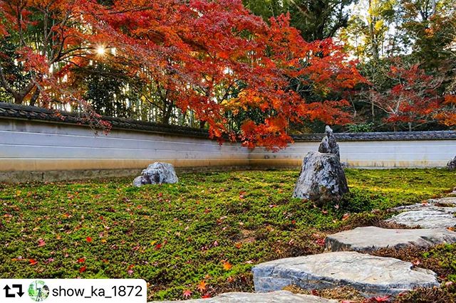 #repost @show_ka_1872・・・.江戸初期の枯山水様式の石庭.歴史を感じます….みなさまのお写真を拝見して.岐阜の美しい景色をたくさん知ることが出来ました.ありがとうございます........#日本の風景#nature_perfection #japan_daytime_view #ほっとするひととき_jt #instagramjapan#ファインダー越しの私の世界#ig_japan#naturelover#東海カメラ倶楽部#東京カメラ部 #naturephotography #visit_tokai #写真好きな人と繋がりたい #紅葉 #名古屋インスタ交流会 #japan_travel #lovers_nippon #tokyocameraclub#jp_gallery #wu_japan#daily_photo_jpn#アニバーサリーズ_ジャパン#gifuphoto #紅葉#枯山水 #ig_japan#love_bestjapan#team_jp_#my_eos_photo#retrip_nippon #土曜日の小旅行 ....2019.11.カメラ　eos80d.レンズ  ef 24-70mm f4l usm.
