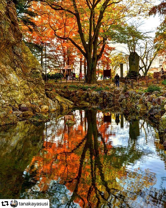 #repost @tanakayasusi・・・岐阜市岐阜公園御手洗池の紅葉リフレ改修前の池の方が風情が有りました……12月1日撮影 #photo_jpn #japan_photo_now #gf_longexpo  #total_longexposure #visit_tokai #tripgramjp #bestphoto_japan #super_japan_channel #jalan_travel #total_naturepics #art_of_japan_ #be_one_natura#thehub_longexposure #light_nikon#superphoto_longexpo #special_spot_ #best_moments_water#total_trees #ig_japangram #retrip_news#total_longexposure#japan_bestpic_ #be_one_world#tokyocameraclub#photo_travelers#gifusta#gifuphoto#jalan_kouyou2019#岐阜県インスタ部#マイタムロンレンズ