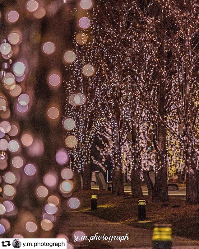 #repost @y.m.photograph・・・玉ボケメディコス🏻 location：メディアコスモス/岐阜県#raw_japan  #メディアコスモス  #gifuphoto #great_myshotz  #lovers_amazing_group #whim_life  #apsでクリスマス #tokyocameraclub #night_captures #bestphoto_japan#japan_daytime_view #daily_photo_jpn #photo_jpn #art_of_japan_#love_bestjapan #japan_night_view #ig_japan#japan_bestpic_#photo_travelers #lovers_nippon_portrait #great_colorshotz #special_spot_ #ap_japan_ #bestphoto_japan  #photo_shottrip #5minjapan #retrip_nippon #everyones_photo_club#japan_great_view #東海カメラ倶楽部