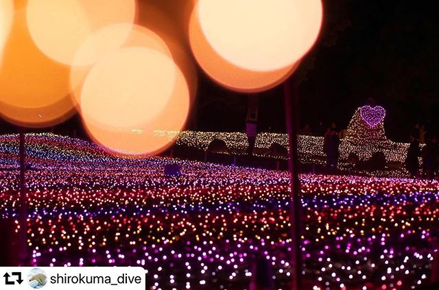 #repost @shirokuma_dive・・・イルミネーション楽しめました。このクオリティで無料なのは素晴らしいですねー。#木曽三川公園イルミネーション #イルミネーション#前ボケ#japan_night_view#kaizukankou#gifuphoto