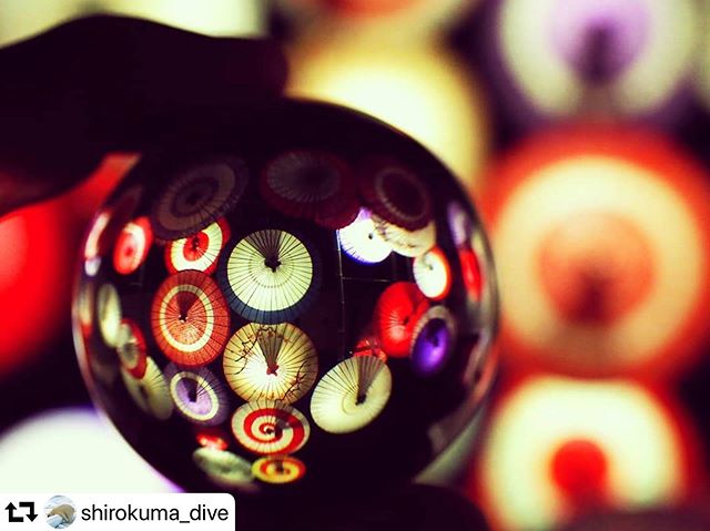 #repost @shirokuma_dive・・・和傘を閉じ込めました。#郡上八幡城#和傘#水晶#japan_night_view #bestjapanpics #best_japan_photos#gifuphoto