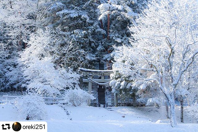 #repost @oreki251・・・今年もよろしくお願いします#岐阜県 #高山市 #高山観光 #飛騨の里 #朝一 #雪の中 #神社 #冬の飛騨 #japan #gifu #gifuphoto #gifuprefecture #takayama #jinja #snow #morning #japan_of_insta #japan_daytime_view #japantravelphoto #jinja_photocon #onestorytraveller #旅ジェニック #神社フォトコンわたしと神社 #ファインダー越しの私の世界 #カメラ好きな人と繋がりたい #撮影好きな人と繋がりたい #旅行好きな人と繋がりたい #広がり同盟 #my_eos_photo