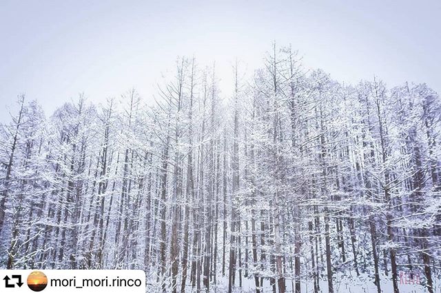 #repost @mori_mori.rinco・・・こんな遠い町にも 夢を与えてくれる 白い粉雪が降って 心に届くよwinter song～ ※Kiroro 冬のうた️ まさか雪景色を見れるとは☃️ 2020*1*4#位置情報場所は(´・ω・`)? ️スタッドレス、気合い 必要️#visit_tokai#art_of_japan_#japan_great_view #special_spot_ #jalan_travel #jalan_2020#nature_special_#great_myshotz #wb_sky #everyones_photo_club#japan_bestpic_#daily_photo_jpn #love_bestjapan #nipponpic#japan_of_insta#bestphot_japan#sumasumatai_love #ap_japan_ #japan_daytime_view #tokyocameraclub #light_nikon #lovers_nippon #total_japan #photo_jpn #japantravelphoto# 東京カメラ部 #gifuphoto #岐阜県インスタ部