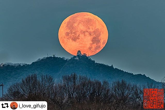 #repost @i_love_gifujo・・・"Full Moon descending to Nobunaga's Castle at the top of Mt. Kingka" Age of moon: 15.7 daysPhoto taken in Gifu City Gifu, Japanon January 11, 2020 "岐阜城と月" 月齢15.7日の月撮影地:岐阜県2020年1月11日撮影ちょっとズレましたが、安全第一でこうなりました。というか、ロケハンを省略して、いきなり撮影しようとするのが、最大の過ちですな。カラビナ&ロープを持てば、安全に機材を下ろすことができたはずでした。#instagramjapan #awesomedreamplaces #ig_color  #japan_of_insta #iGersJP #team_jp_ #depthsofEarth #retrip_news #Lovers_Nippon #japan_night_view #japanawaits #japan_photo_now #light_nikon #Loves_Nippon #bestjapanpics_ #phos_japan #photo_jpn #kf_gallery #skyshotarchive #jp_gallery #insta_nagoya #nikontoday #moon_of_the_day #visitjapanjp #gifuphoto  #gifusta #東京カメラ部 #岐阜城と月 #岐阜県インスタ部