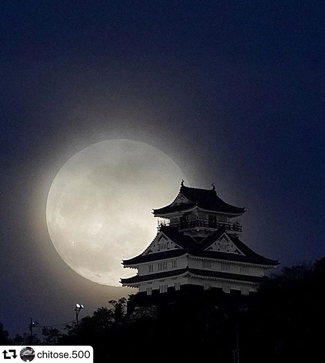 #repost @chitose.500・・・『今年もよろしく頼むよ』月にご挨拶。。。(笑)久しぶりで細かい設定を忘れてしまったまた今年もイチから頑張ります❣昨日から夜遊びウイークが始まってます(笑)2020.1.10#岐阜城 #月 #岐阜城と月 #岐阜#japan_night_view #ap_japan_#val_co #jalan_travel #lovers_nippon #retrip_nippon #retrip_岐阜 #lovers_amazing_group #sumasumatai_love #otonatabi_japan #gifuphoto #pixlib_jp #deaf_b_j_ #japan_photo_now #cityscape #cityspride #blueskytravels #visit_tokai #pt_best_ #i_c_part #ig_japan #神戸カメラ部 #東京カメラ部 #tokyocameraclub