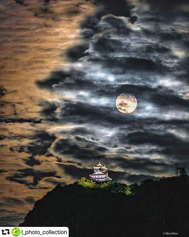 #repost @l_photo_collection・・・︎.#月夜の岐阜城 .この日の空模様はヤバかったです.私の月城史上ベスト3ぐらいには入る雲の様子でした️別にとを重ねなくても大丈夫なんだと思ったし、うっとり️見惚れ、次の地点に移動すら出来なかった夜でした.#2017年10月.. #lovers_amazing_group #light_nikon #japan_night_view #moon_asa  #岐阜城と月 #月城 #岐阜城　 #gifuphoto  #東京カメラ部　#tokyocameraculb #写真撮ってる人と繋がりたい #impressive_gallery #visit_tokai #retrip_nippon #絶景辞典 #pashadelic #ptk_love #広がり同盟  #ap_japan_ 　#love_bestjapan #a_j_photo #tankensurujapan #wu_japan #gifusta #sorakataphoto #月 #城