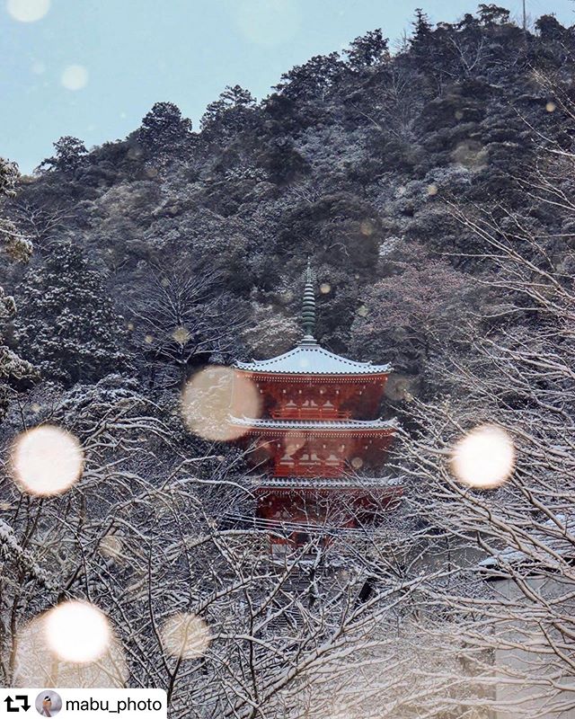 #repost @mabu_photo・・・.三重塔に降る雪️...昨日、月城のストックを9割型消去してた事が判明.もぅ来月の満月で頑張るしかない！(๑•̀ㅁ•́๑)✧︎.#岐阜公園 #三重塔 #雪景色 #雪ボケ #total_shot #instagram  #japan_daytime_view #loves_nippon #tokyocameraclub #team_jp_  #ig_japan  #retrip_nippon #bestjapanpics #whim_life #lovers_nippon #nipponpic #team_jp_  #igersjp #東京カメラ部 #pt_life  #colore_de_saison #gifusta #gifuphoto