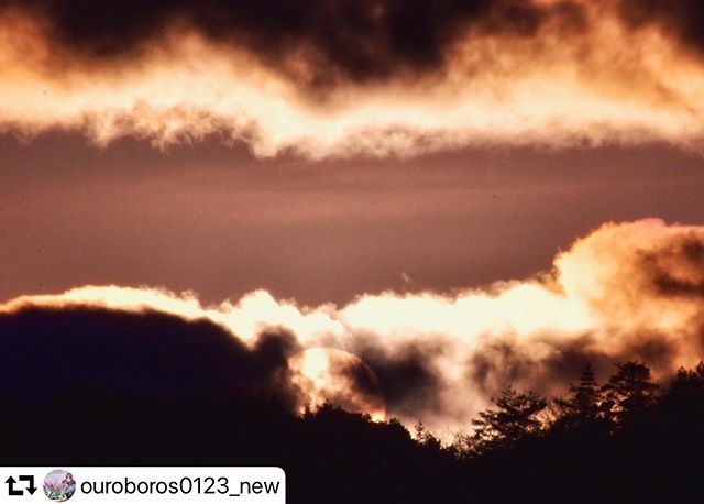 #repost @ouroboros0123_new・・・#カコソラ最初の2枚はWB設定違います最後は #iphone撮影 2020.01.29(水)撮影📸✧✧✧#夕暮れ #夕焼け #夕空 #夕闇 #空 #ソラ #雲 #自然 #風景 #綺麗 #黄昏 #beautiful #Landscape #sunset #sky #cloud #twilight #nature #naturephotography #gifuphoto #sorakataphoto #light_nikon #nikon #D5600 #一眼レフ #写真を撮るのが好き #空が好き