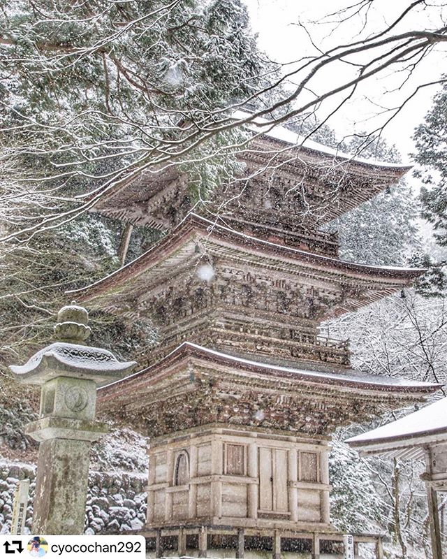 #repost @cyocochan292・・・雪降りました️仕事なんてしてられない#横蔵寺 #三重塔 2020.2.10location▷gifu#japan_bestpic_#my_eos_photo#クラツー#s_shot#IGersJP#ptk_japan#Nipponpic#pt_life#mycanon365#ap_japan_#japan_art_photography#japan_great_view#Lave_bestjapan#great_myshotz#pk_love#sumasumatai_love#ほっとするひととき_jt#photoplusme#lnpressive_gallery#揖斐川町
