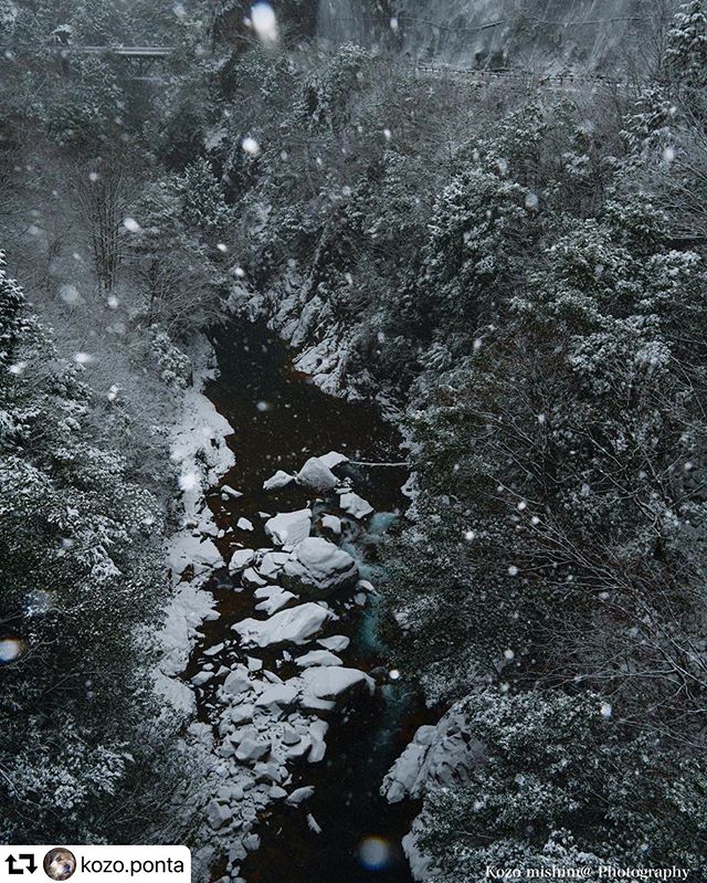 #repost @kozo.ponta・・・雪舞う渓谷#岐阜県 #川浦渓谷 #雪 #岐阜県関市 #東京カメラ部 #絶景delic #岐阜県インスタ部 #広がり同盟 #instagram #instagramjapan #ig_japan #igersjp #wu_japan #wp_japan #landscape #landscapephotography #photo_shorttrip #photo_travelers #japan #japan_daytime_view #japan_of_insta #visitjapanjp #visit_tokai #total_naturepics #bestjapanpics #tokyocameraclub #deaf_b_j_ #gifuphoto #lovers_nippon