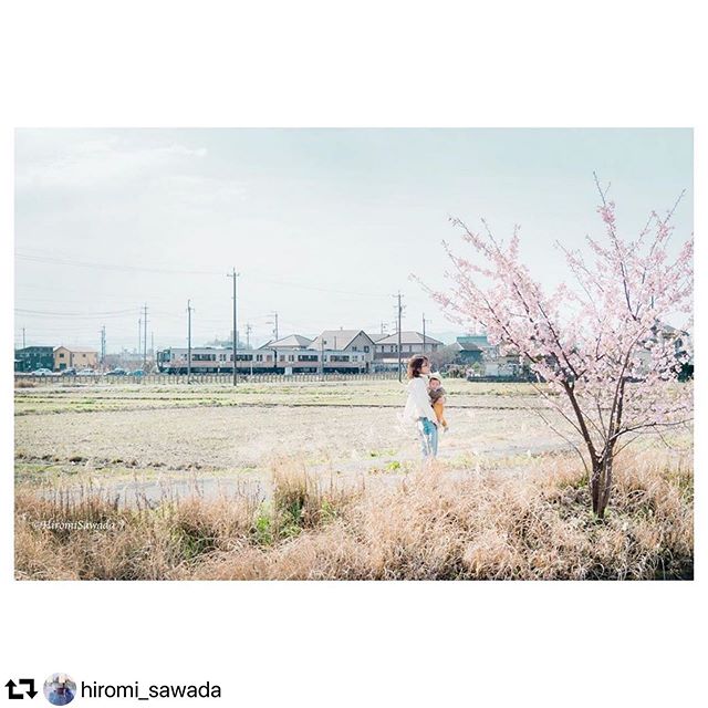 #repost @hiromi_sawada・・・咲き始めた桜の若木を赤ちゃんと見に来たお母さん。この子の記憶の奥深くに残りますように…#3月1日#お母さんと赤ちゃんと高山線#springhascome#japan #東京カメラ部 #gifuphoto #gifu #gifujapan #岐阜 #ruralphotography #ruraljapan #imageoftheday #tokyocameraclub #gifusta #高山線 #igersjp