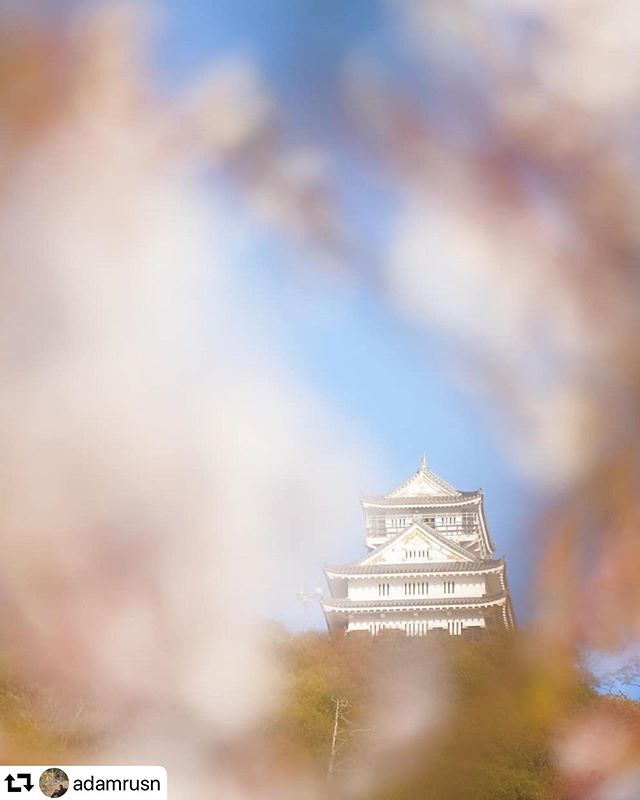 #repost @adamrusn・・・Sakura, blue sky, and Gifu Castle...#gifucastle #gifucastle #岐阜城#gifuphoto#gifushi #exploregifu#japansakura #sakurajapan #springinjapan#fujifilmxm1 #xc50230mm #XM1 #fujifilmxseries