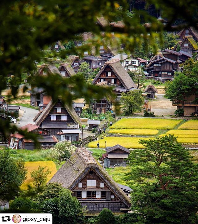 #repost @gipsy_caju・・・Parce qu’il y a des endroits qui marque plus que d’autres ️...SHIRAKAWA-GO / Gifu...#japan #japon #shirakawa #shirakawago #pvt #explorejapan #visitjapan #japanesetemple #igjapan #instajapon #pvtistes #japannature #japon #routard #japanlovers #travelbloggers #insta_of_japan #realjapan  #igtraveller #workingholiday #asie #asia #japan @ig_japan_  @japandailies @best_japan_photos  #gifu #gifuprefecture @japan_related @pvtistes #gifuphoto @explorejpn #explorejpn @japantravelphoto @japanfeatured #japanawaits @japanawaits @voyageursdumonde #jonatbounceday
