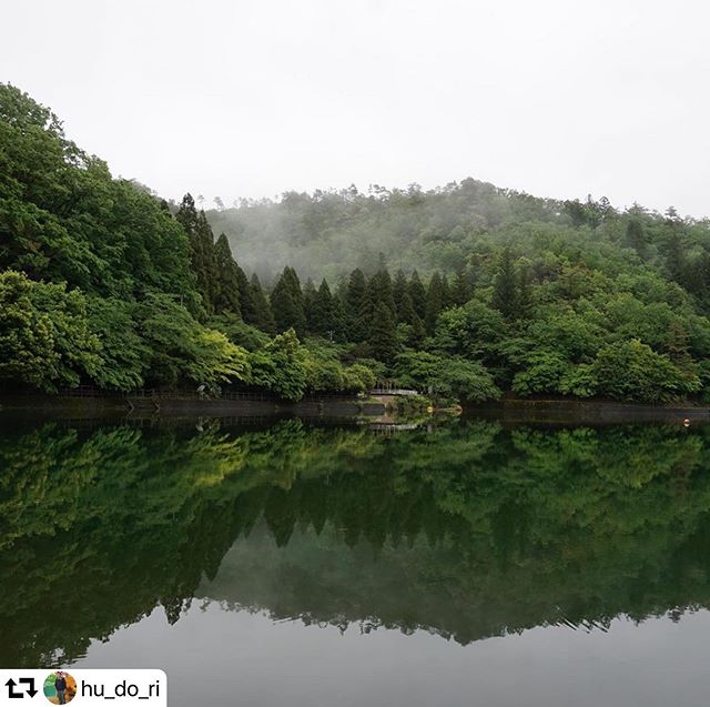 #repost @hu_do_ri・・・Ijira-ko lake #gifuphoto