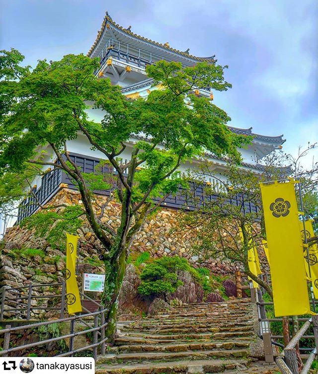 #repost @tanakayasusi・・・岐阜市金華山新緑の岐阜城(稲葉山城)22日から再開です……5月19日撮影#photo_jpn #japan_photo_now #gf_longexpo  #total_longexposure #visit_tokai #tripgramjp #bestphoto_japan #super_japan_channel #jalan_travel #total_naturepics #art_of_japan_ #be_one_natura#thehub_longexposure #light_nikon#superphoto_longexpo #best_moments_nature#total_trees #ig_japangram #retrip_news#total_longexposure#japan_bestpic_ #be_one_world#tokyocameraclub#photo_travelers#gifusta#gifuphoto#tokai_press#gifubooks#岐阜県インスタ部#東海カメラ倶楽部