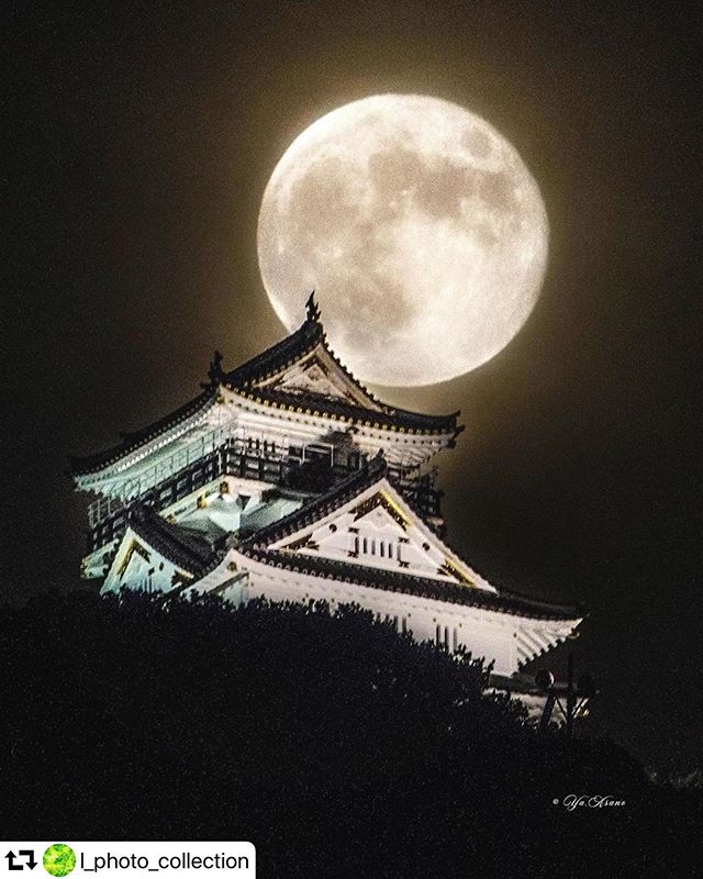 #repost @l_photo_collection・・・︎.岐阜城と6月の満月Gifu Castle and the full moon in June..久しぶりの月城撮影は、全体に厚すぎる雲…🤷🏻‍♀️どのポイントも明るくすらならず、もう月は見えないのかと思って諦めてました😑でも岐阜城近くギリギリで霞んだ月が急に見え始め、慌ててカメラを出し、一瞬クレーターらしき模様が何とか見えた一枚🤗＋...Location 岐阜県2020.6.6...#japan_night_view #東京カメラ部 #tokyocameraclub  #wu_japan#夜景ら部　#picture_to_keep #ig_phos #photo_travelers #whim_life #ptk_japan #amazing_shots #sorakataphoto #japan_night_view #gifuphoto #visit_tokai #moon_asa  #岐阜城と月 #月城 #岐阜城　#満月 #visit_tokai